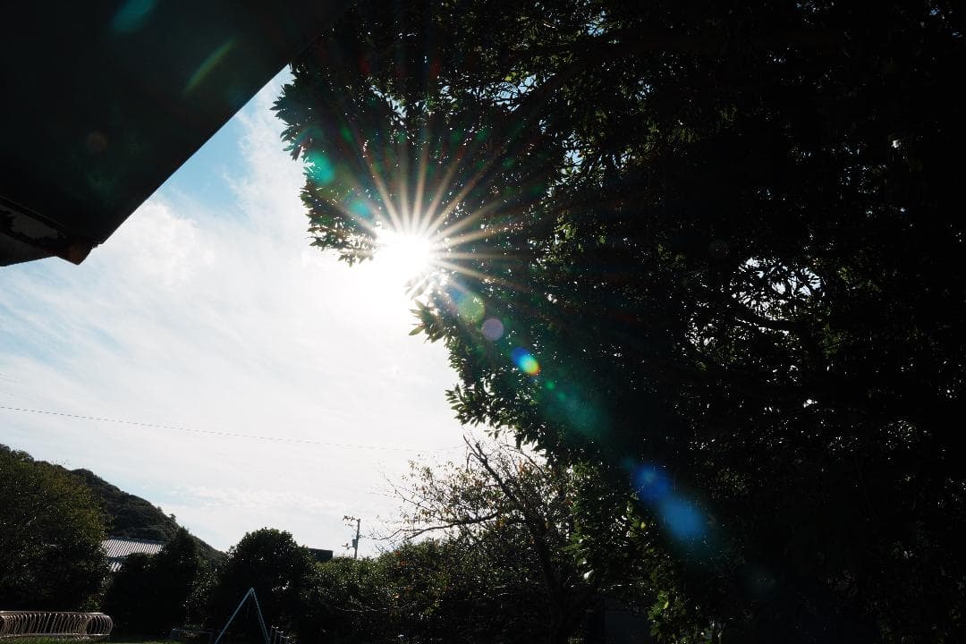 【極美品】SIGMA24-70mmF2.8 DG DN Art プロ使用品