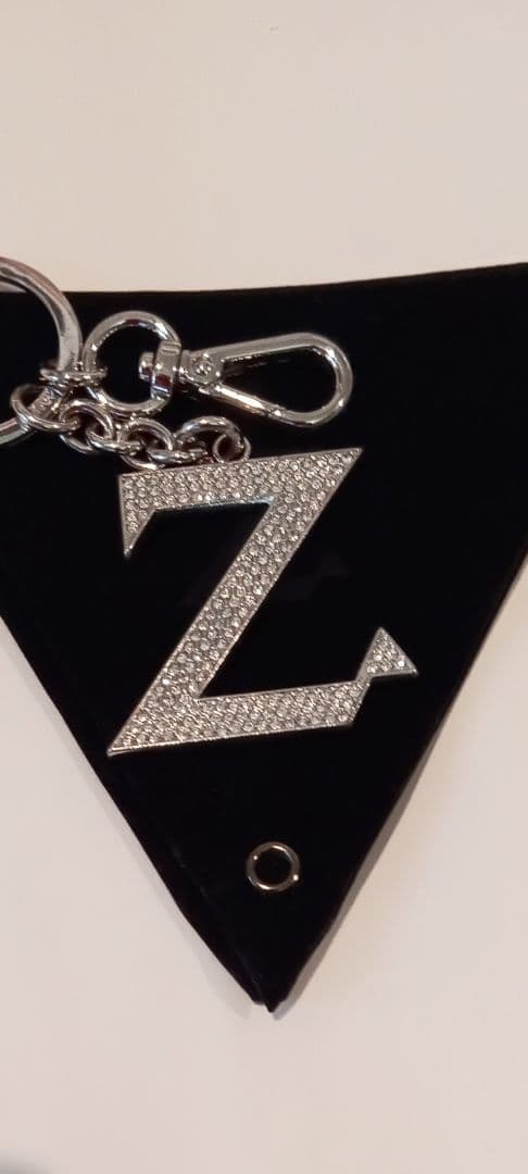 チャン・グンソク　Zキーホルダー