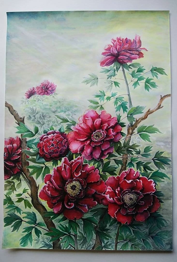 絵画 水彩画　牡丹(原画)