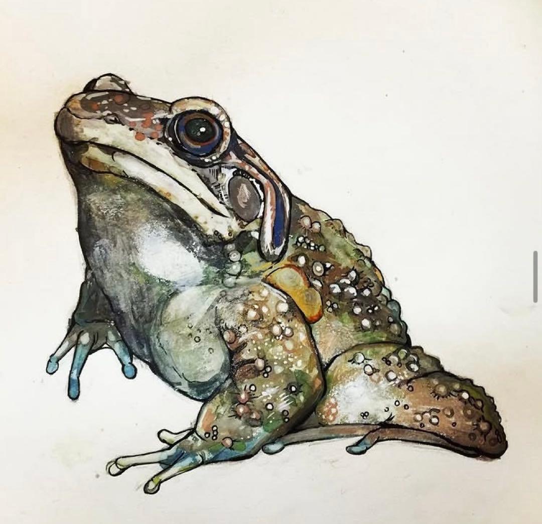 うさぎ工房 多加江セレクト】バリ島 カエル仮面｜Frog Mask｜民芸オブジェ