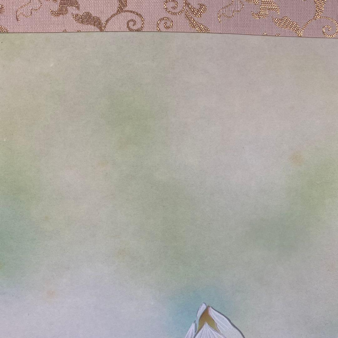 美品 掛け軸 棚田清光作 黎明白蓮華図 共箱 縁起物 極楽浄土