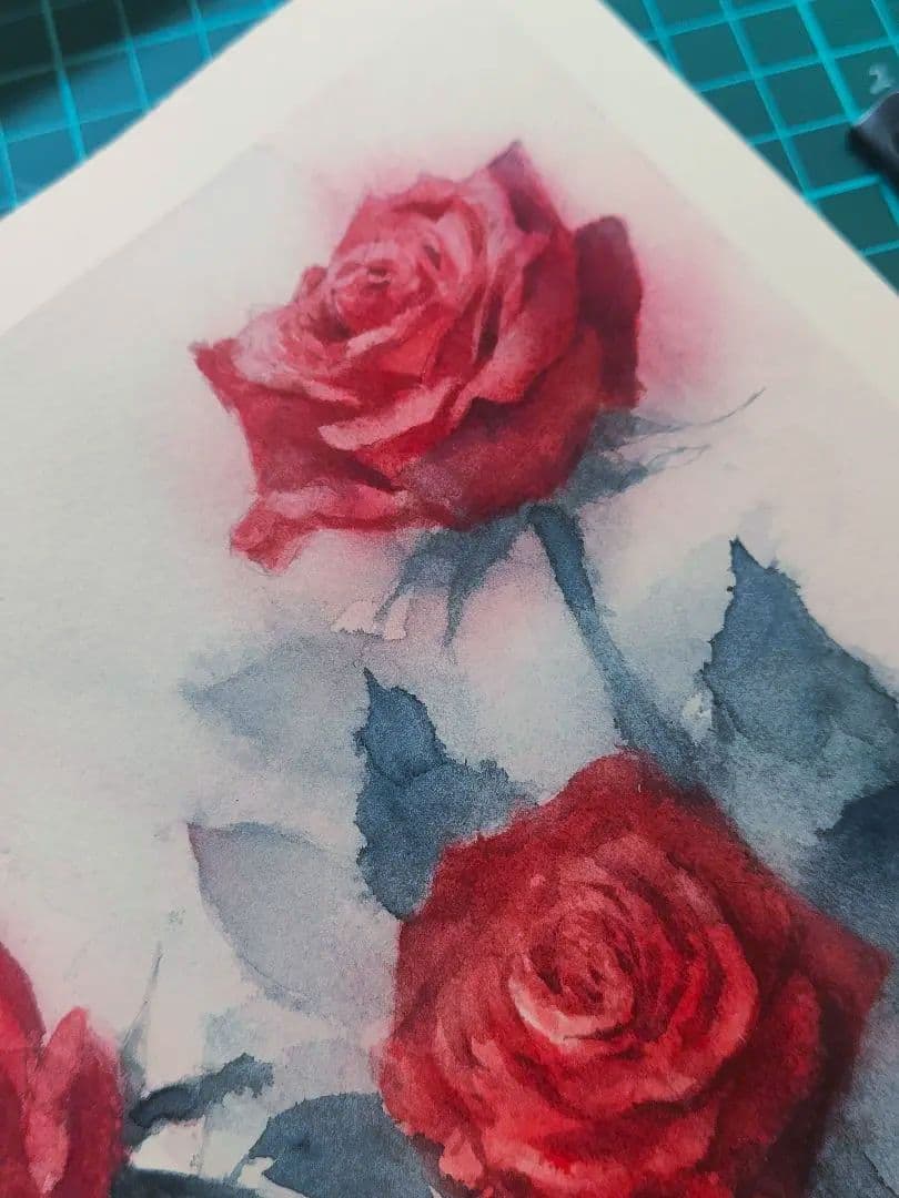 植物水彩原画 バラ