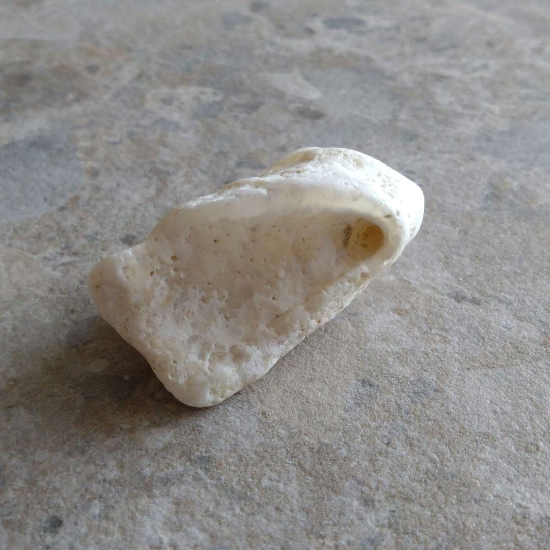 勇姿！！戦い厳しさを感じるケオンさん☆　イシカブラ　ケオン　石　パワーストーン