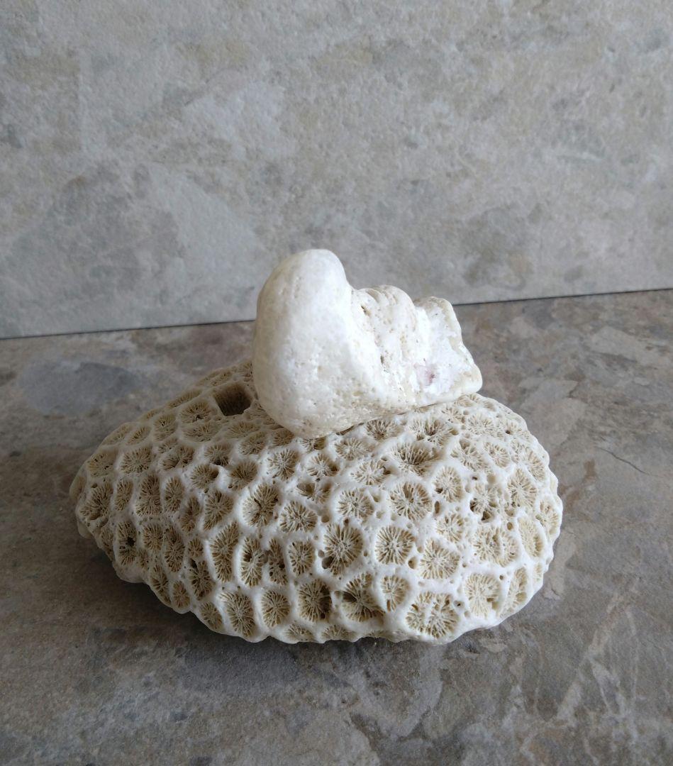 勇姿！！戦い厳しさを感じるケオンさん☆　イシカブラ　ケオン　石　パワーストーン