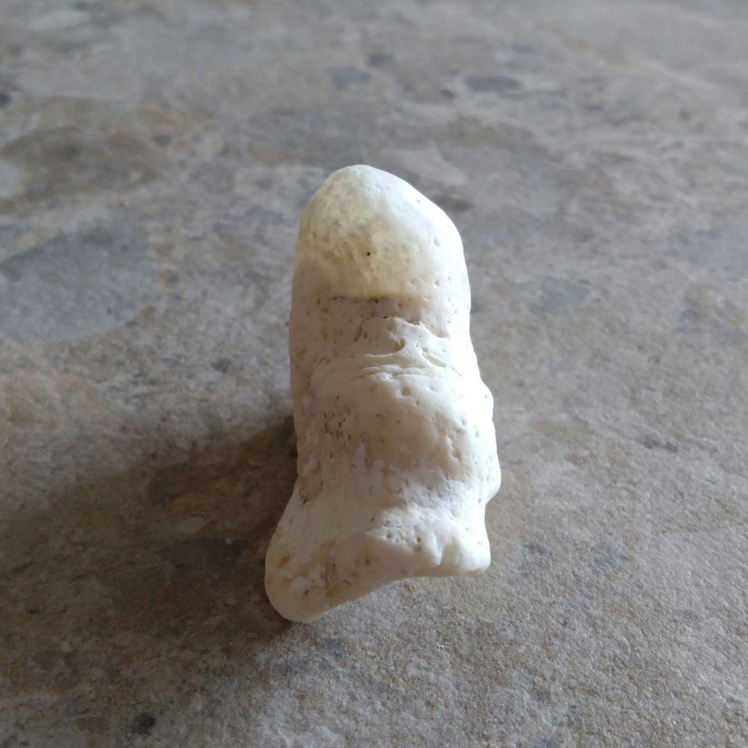 勇姿！！戦い厳しさを感じるケオンさん☆　イシカブラ　ケオン　石　パワーストーン