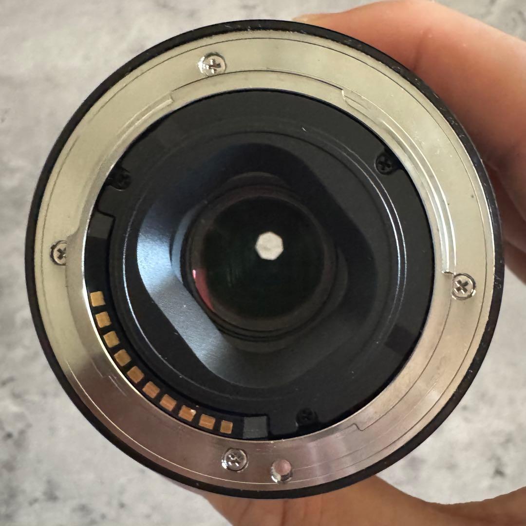 SONY ソニー a6000 ＋単焦点レンズ＋オマケ