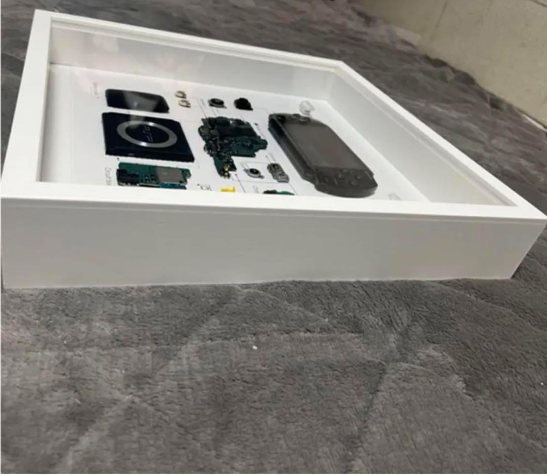 PSP1000 標本アート