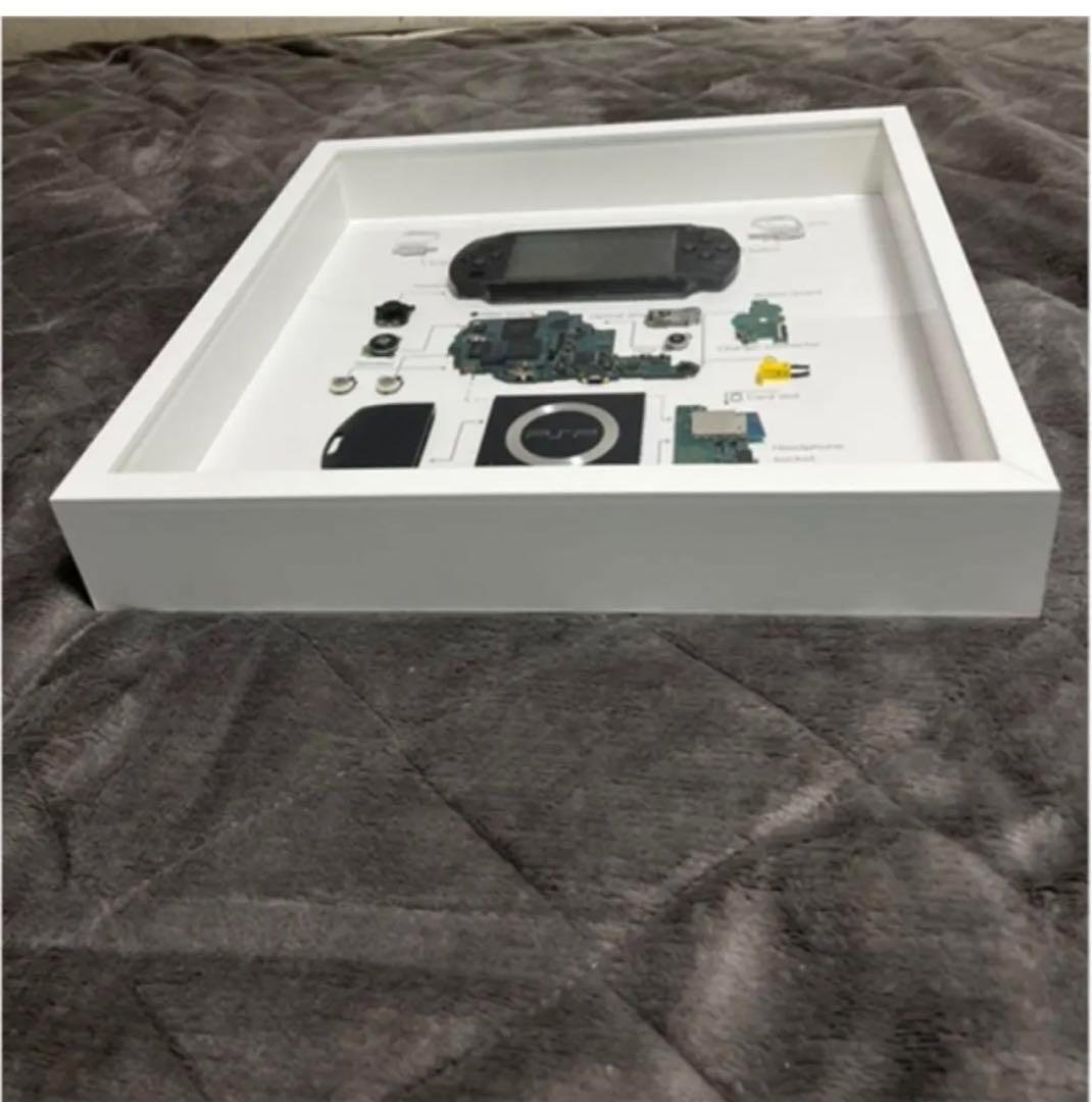 PSP1000 標本アート