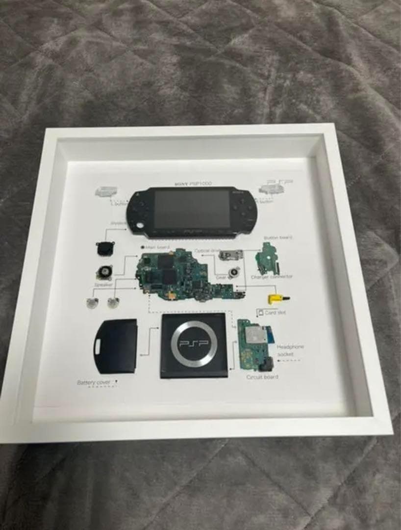 PSP1000 標本アート