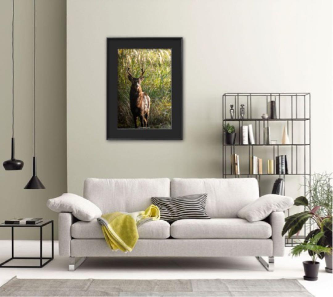 オスの鹿　ポートレート