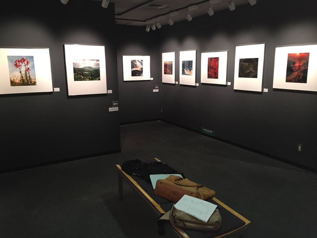 オスの鹿　ポートレート