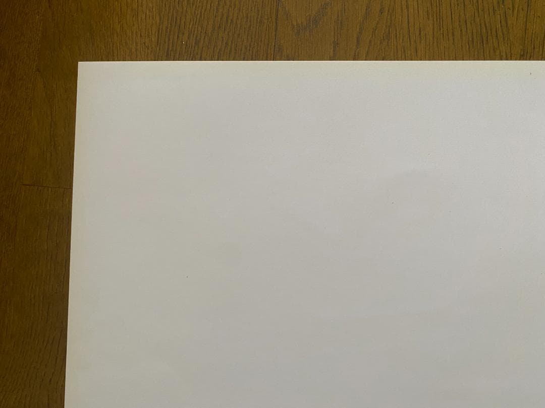 大竹伸朗　ポスター500部限定　直筆サイン入り 美品