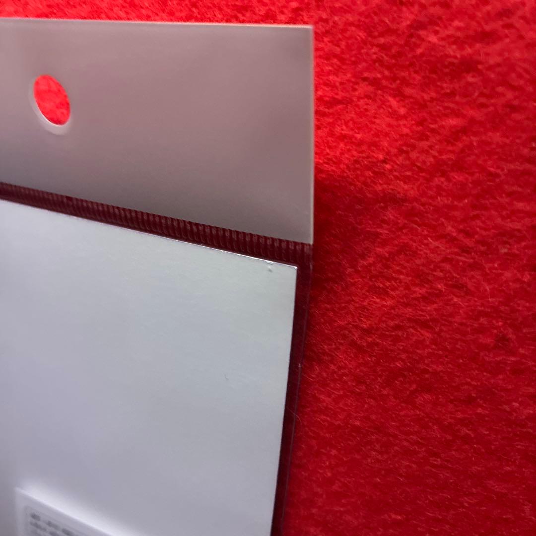 俺だけレベルアップな件 S級 成晋宇 ハンター資格証 未開封　ソロレベ