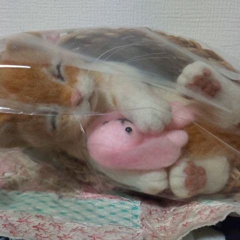 ※sale※羊毛フェルト(ウサギを抱いて寝てる仔猫)