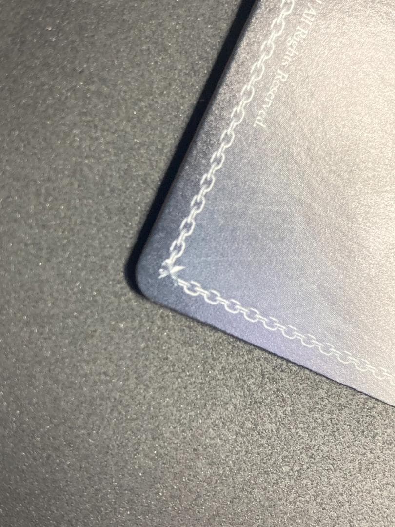 WS SSP “歩んだ軌跡”木之本桜(サイン入り)