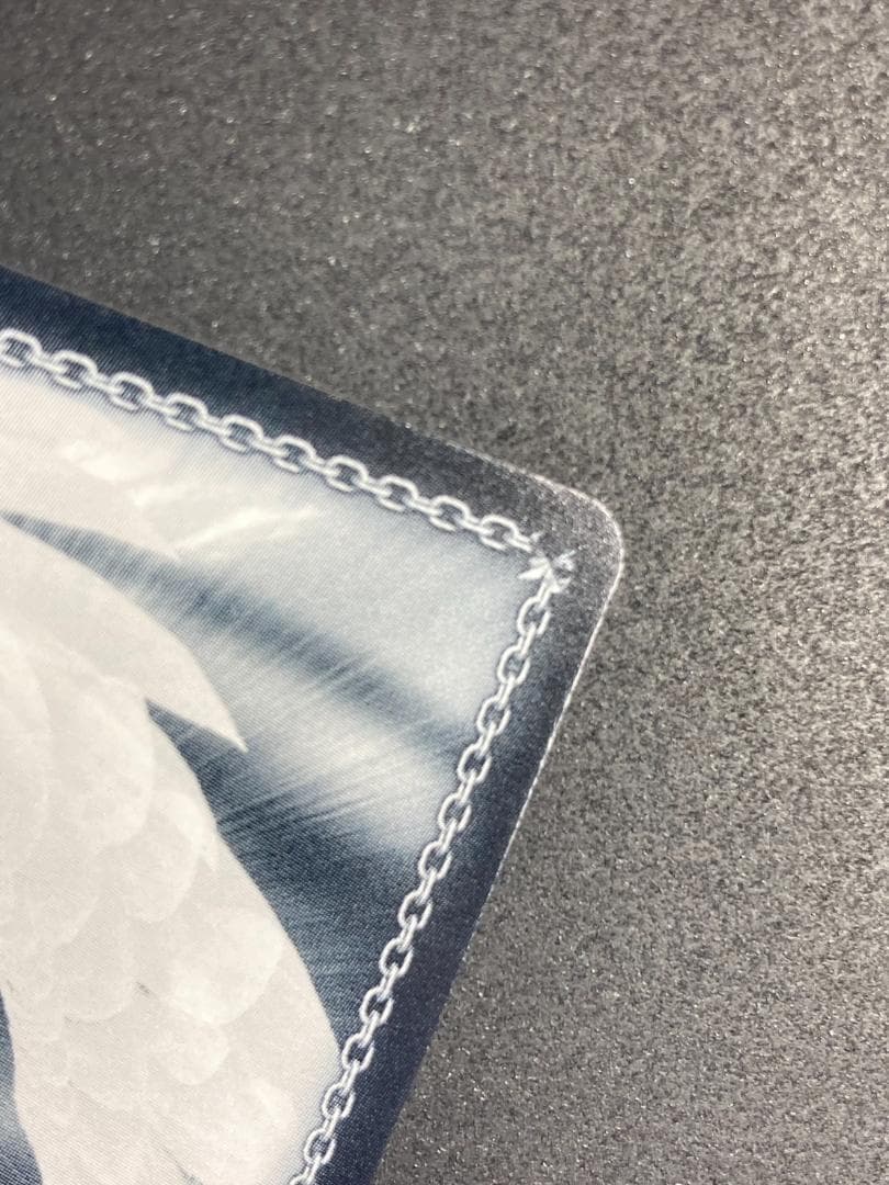 WS SSP “歩んだ軌跡”木之本桜(サイン入り)