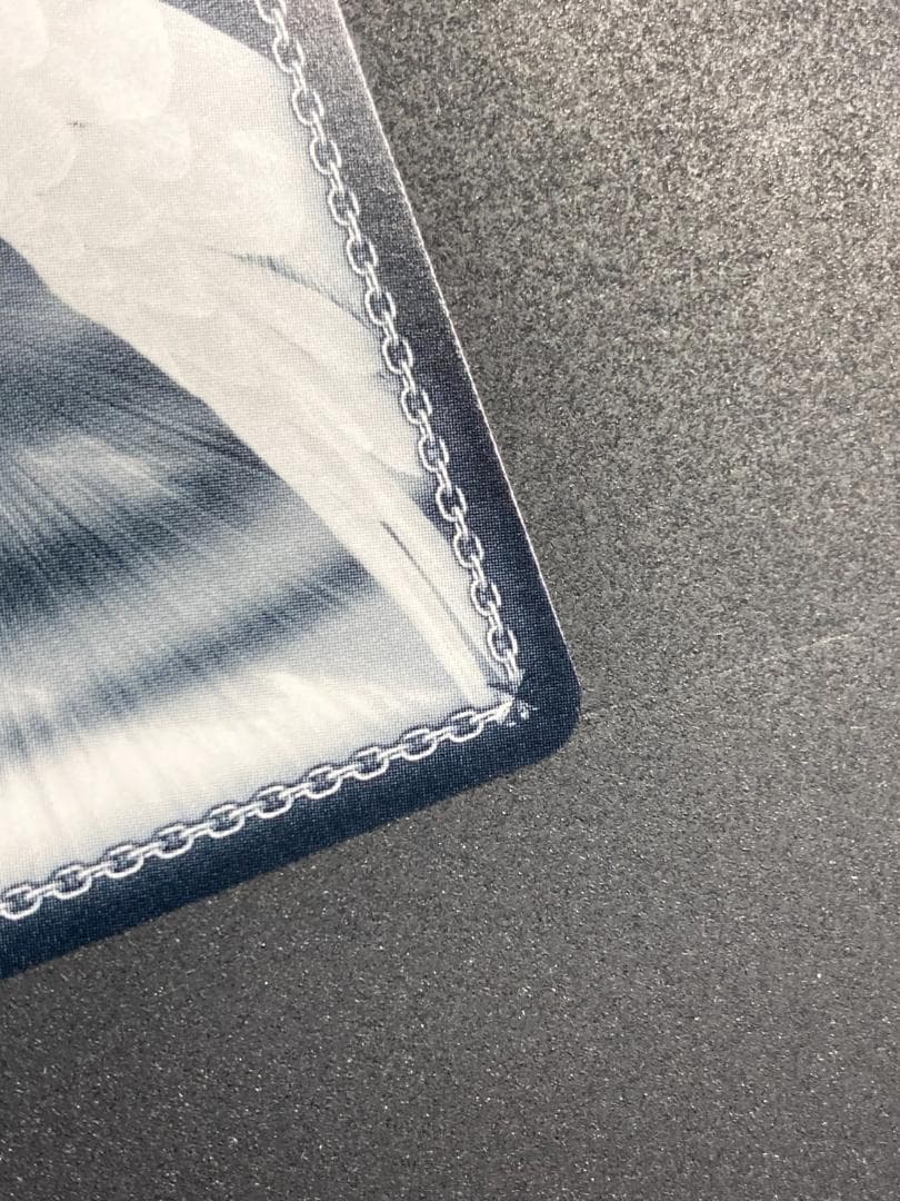 WS SSP “歩んだ軌跡”木之本桜(サイン入り)