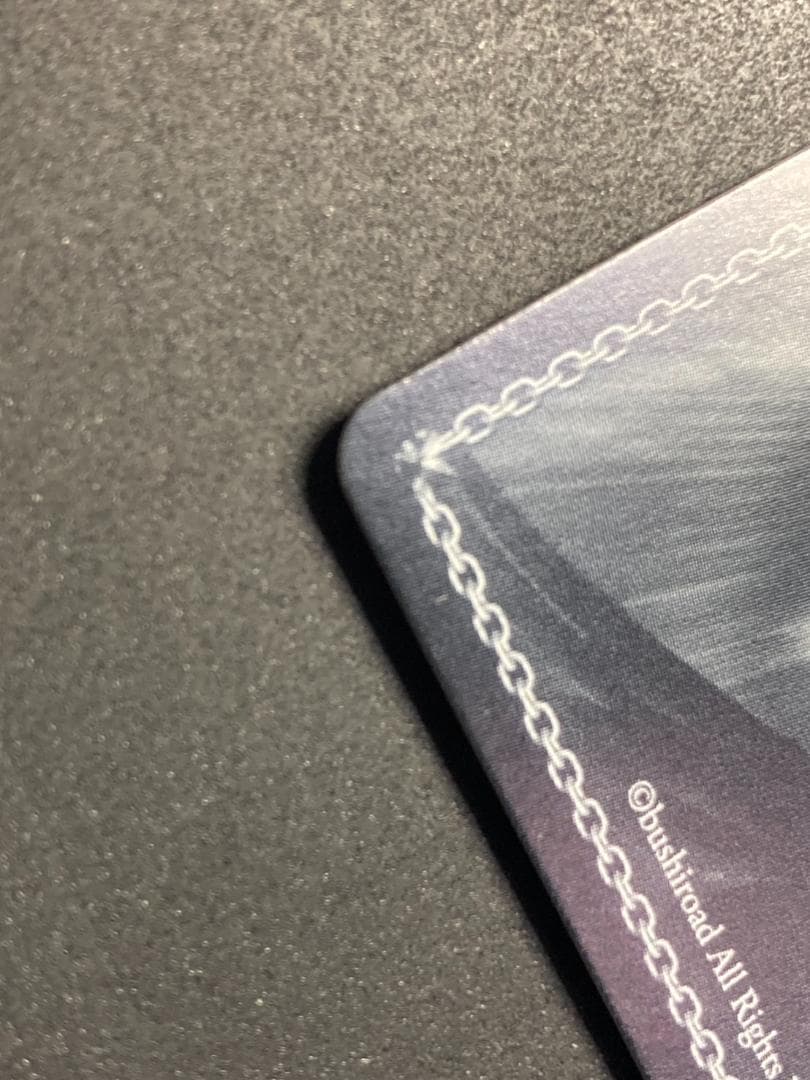 WS SSP “歩んだ軌跡”木之本桜(サイン入り)