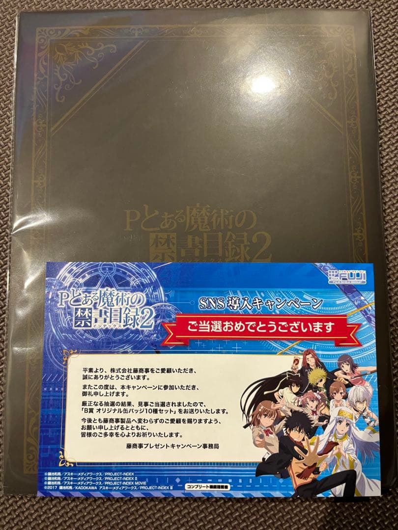 Pとある魔術の禁書目録2オリジナル缶バッチ10種セット(新品)解体全書2付き☆