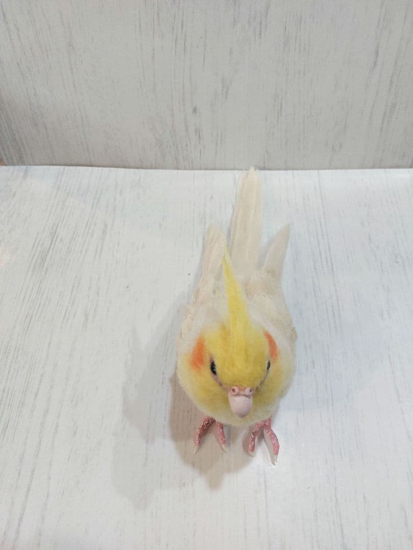 羊毛フェルト　　オカメインコ