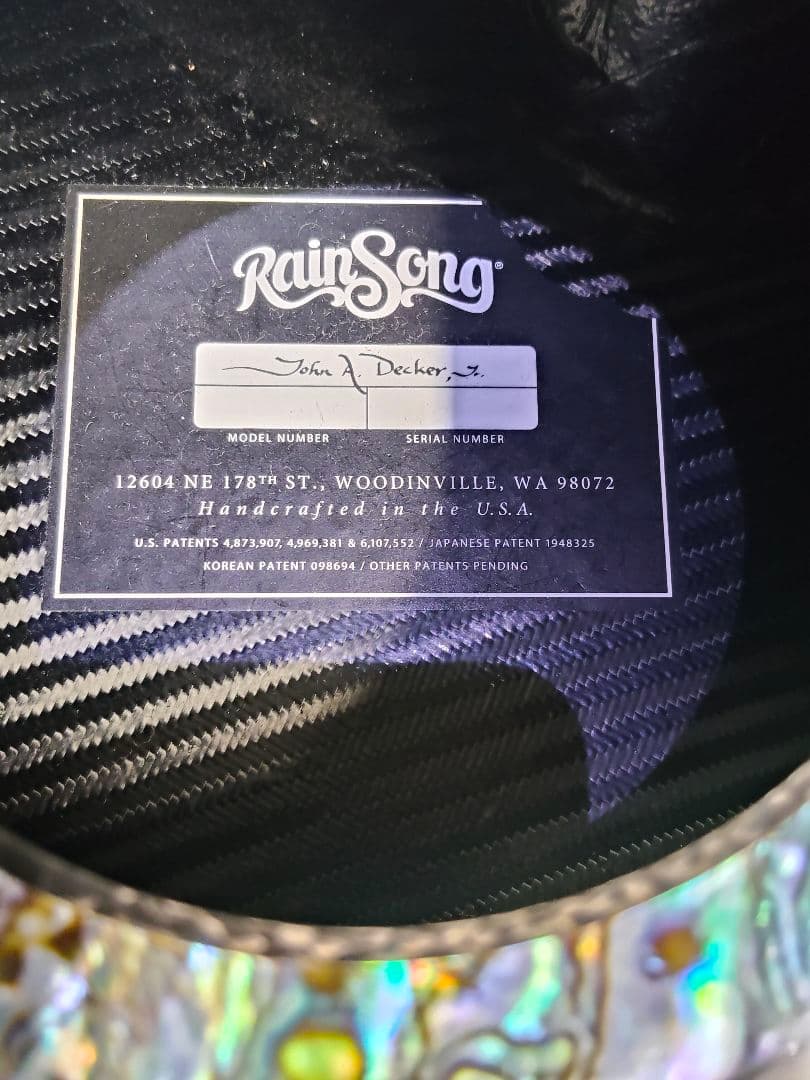 RainSong WS1000 N1 初期型 LR Baggs カーボンギター