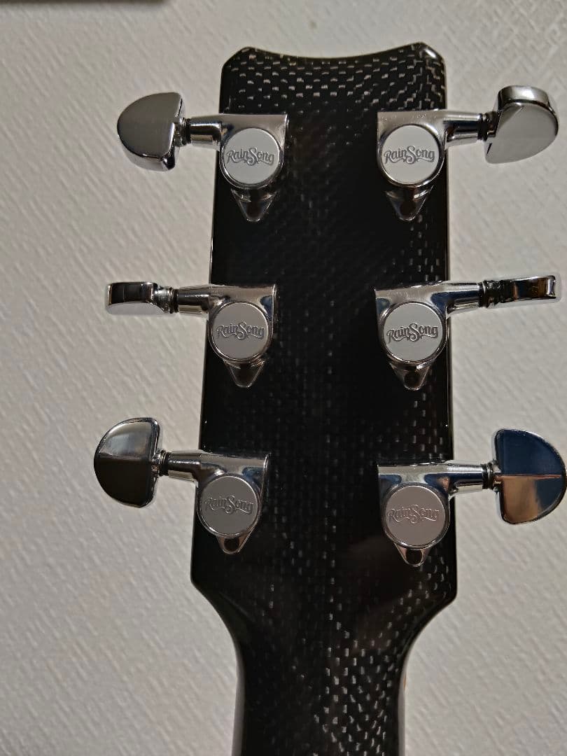 RainSong WS1000 N1 初期型 LR Baggs カーボンギター