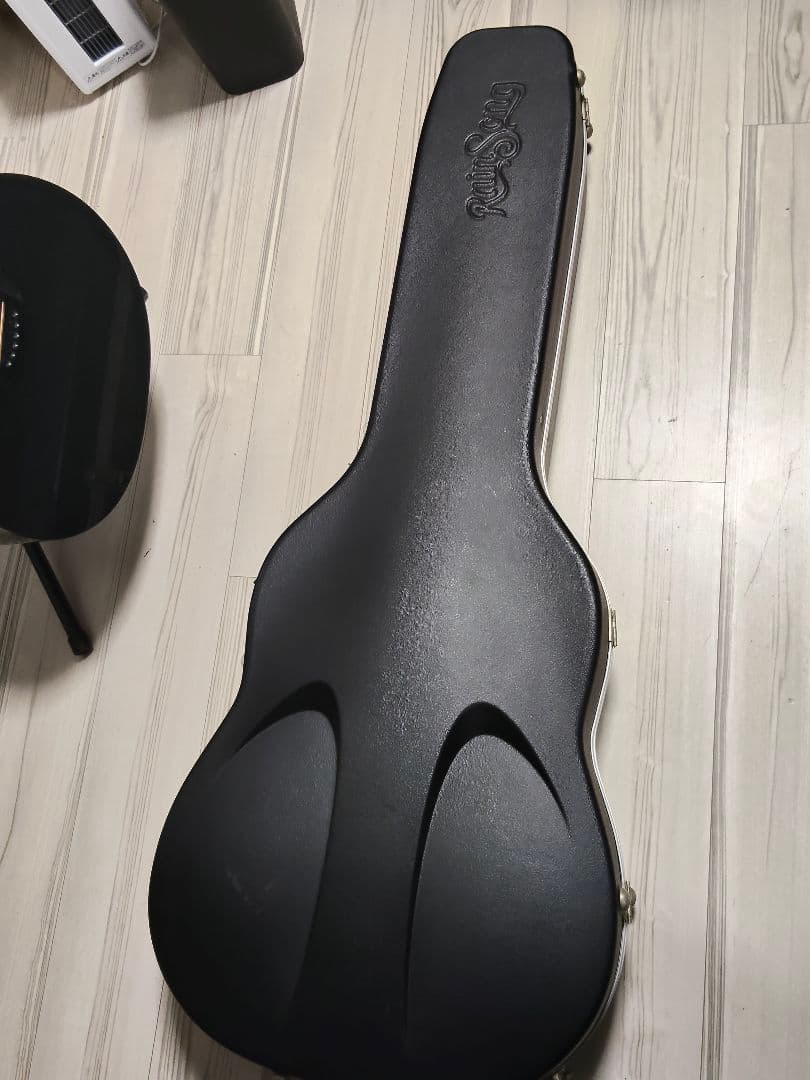 RainSong WS1000 N1 初期型 LR Baggs カーボンギター
