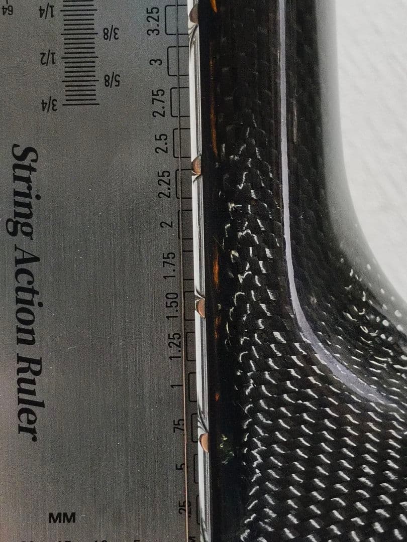 RainSong WS1000 N1 初期型 LR Baggs カーボンギター