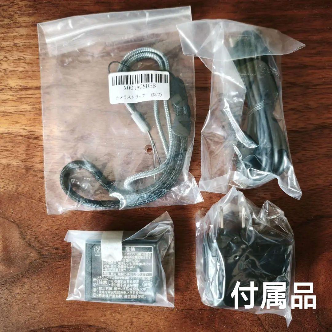 極上品 Panasonic Lumix TZ99 いろいろオマケ付き