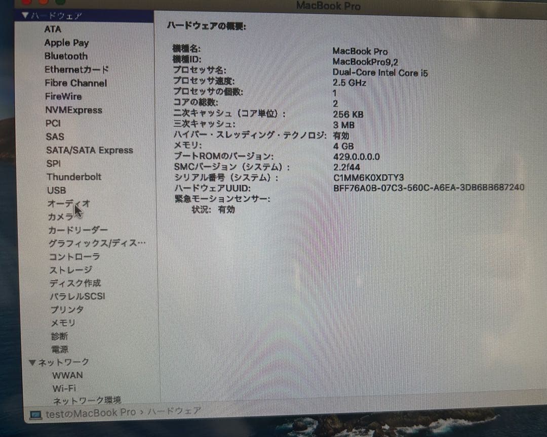 SALE‼︎ 【動作確認済】美品‼︎ 13インチ MacBook Pro Mid-2