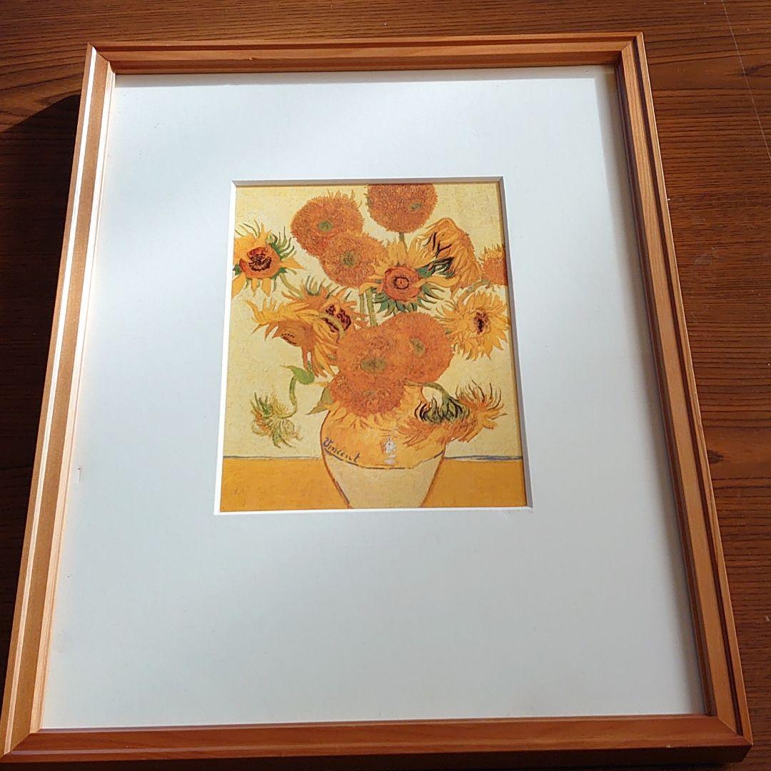 ダニエルスキオラ　（夏）