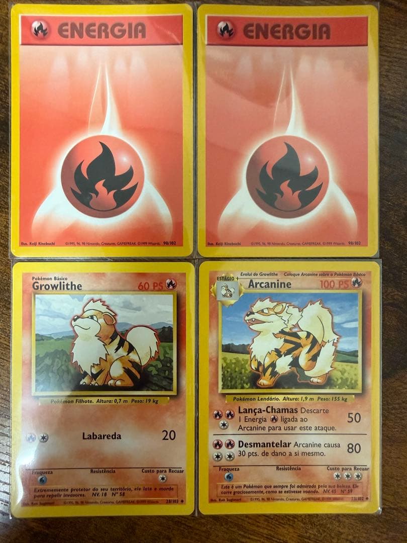 ガーディ & ウィンディセット第1弾拡張パック 化石の秘密