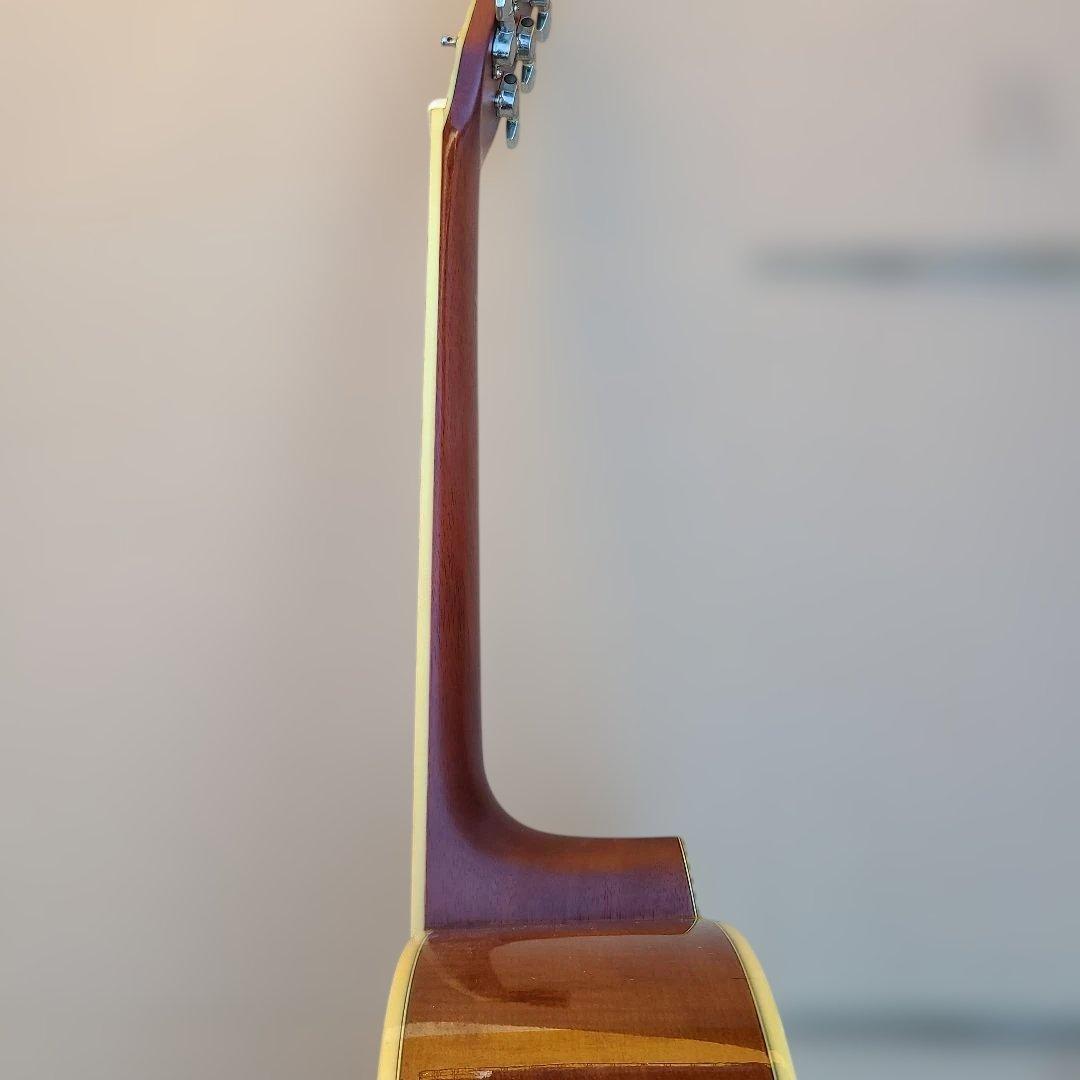 Morris TF-60T Morrisハードケース付き