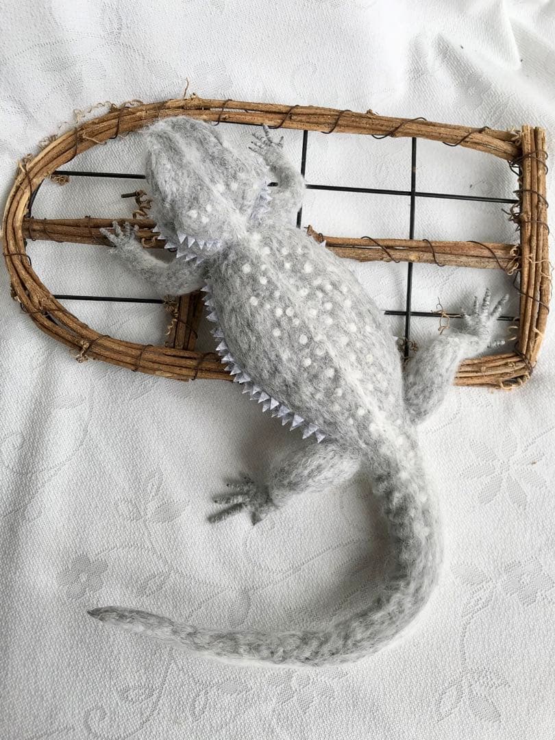 フトアゴヒゲトカゲ・ZERO