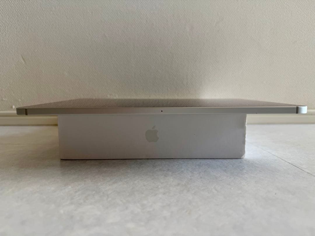 iPad Pro 11　第4世代（M2）256G Wi-Fi＋cellular