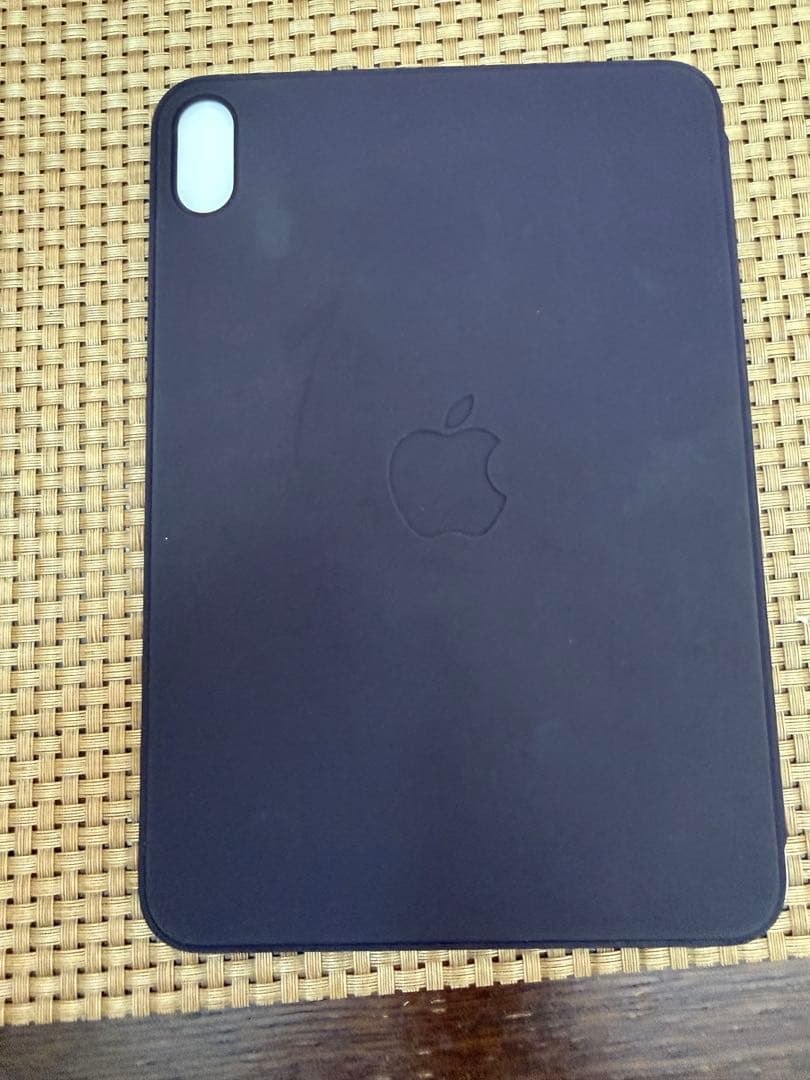 iPad本体 ipad mini(A17 Pro)