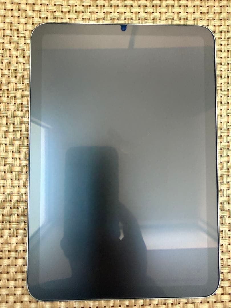 iPad本体 ipad mini(A17 Pro)