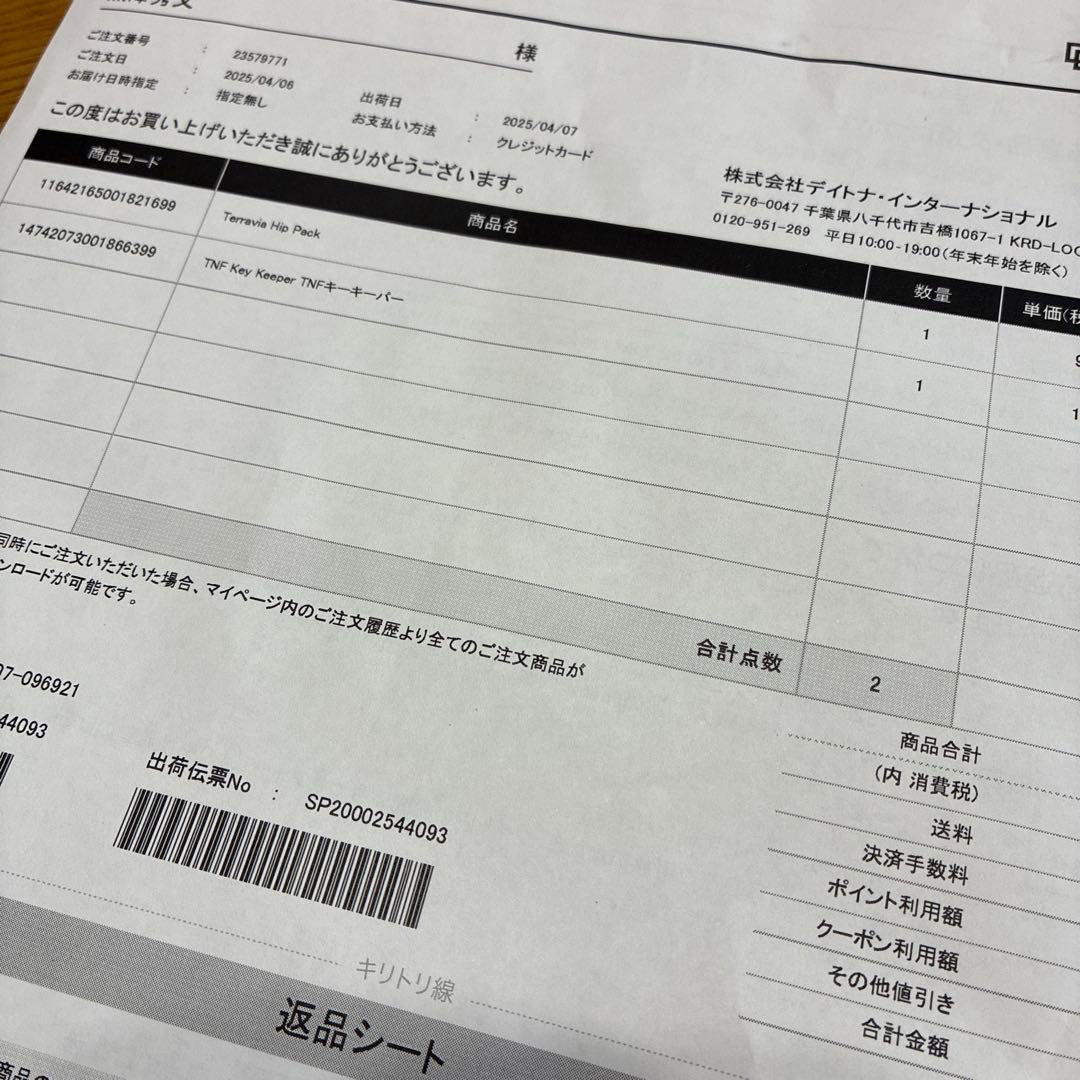 【新作】 パタゴニア テラヴィア・ヒップ・パック 5L 国内正規品 (カーキ系)