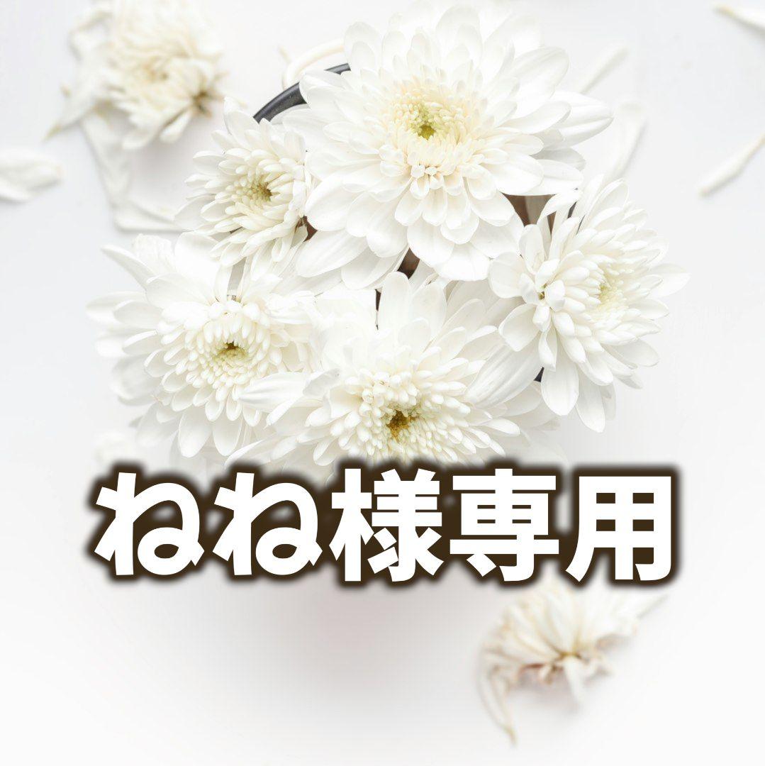 ねね様✨️専用