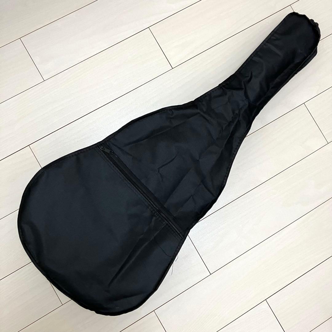 HONEY BEE アコースティックギター　初心者セット　F-15M /N