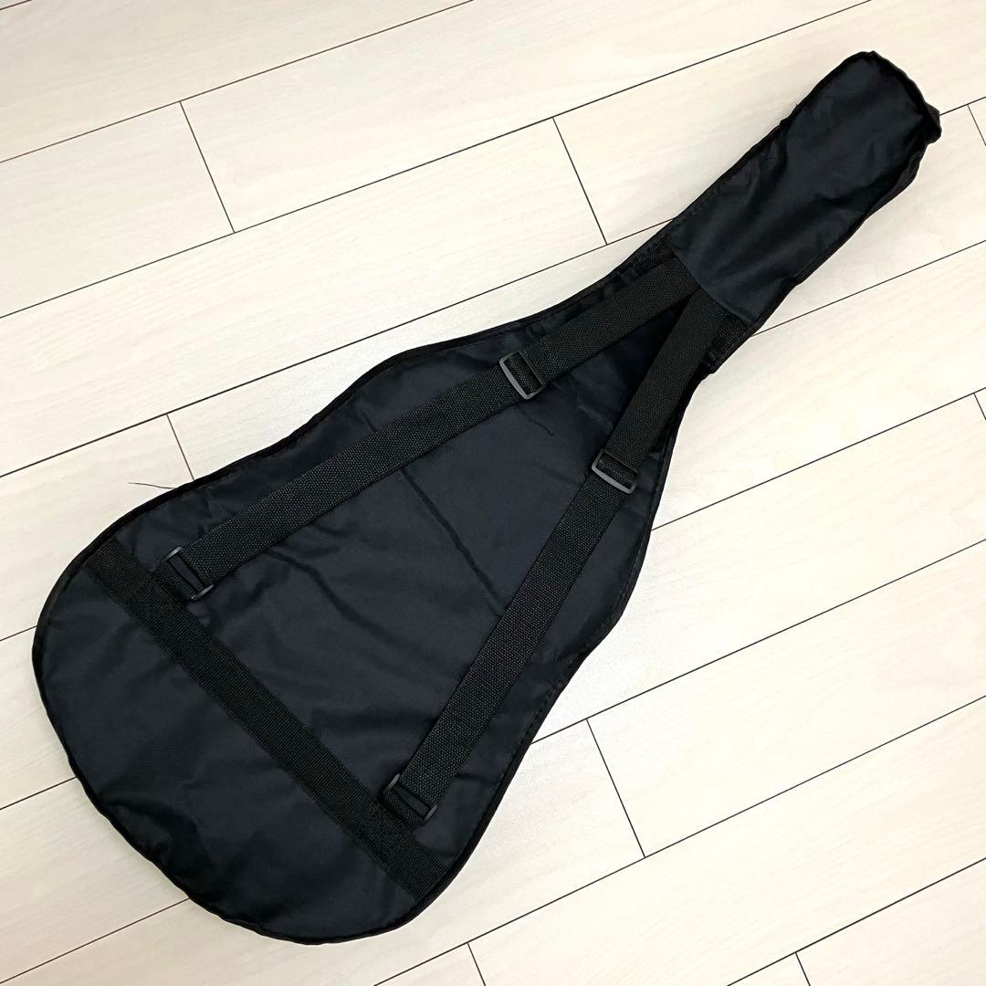HONEY BEE アコースティックギター　初心者セット　F-15M /N