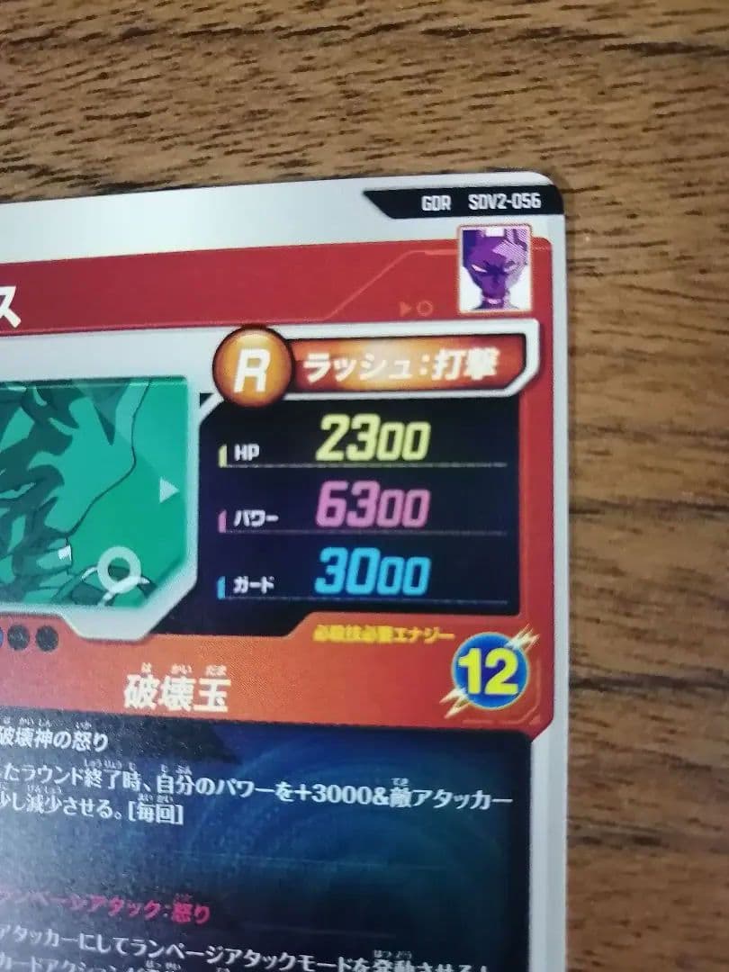 SDV2-056 GDR ビルス