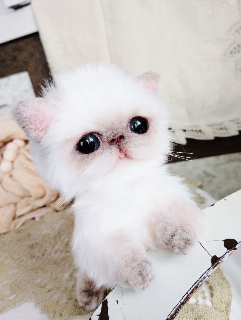 エキゾチック子猫ちゃん♡春生まれのサクラちゃん♡アートドール♡ぬいぐるみ♡