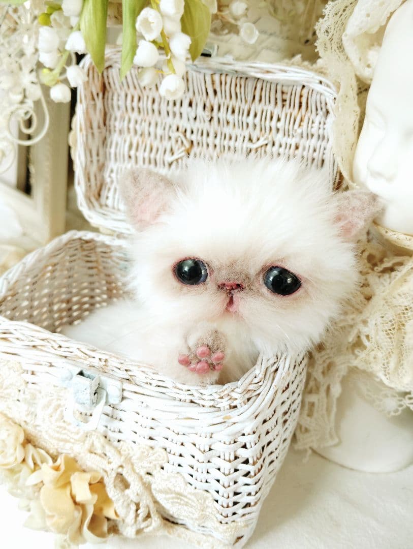 エキゾチック子猫ちゃん♡春生まれのサクラちゃん♡アートドール♡ぬいぐるみ♡