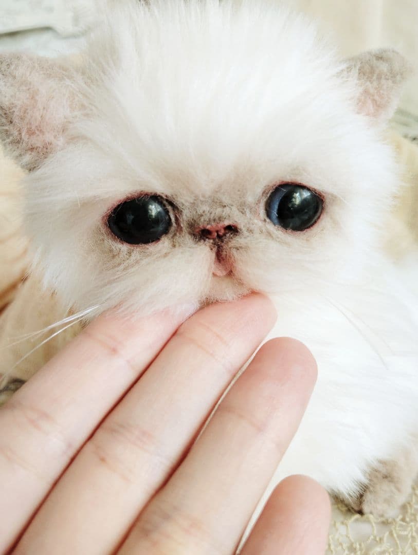 エキゾチック子猫ちゃん♡春生まれのサクラちゃん♡アートドール♡ぬいぐるみ♡