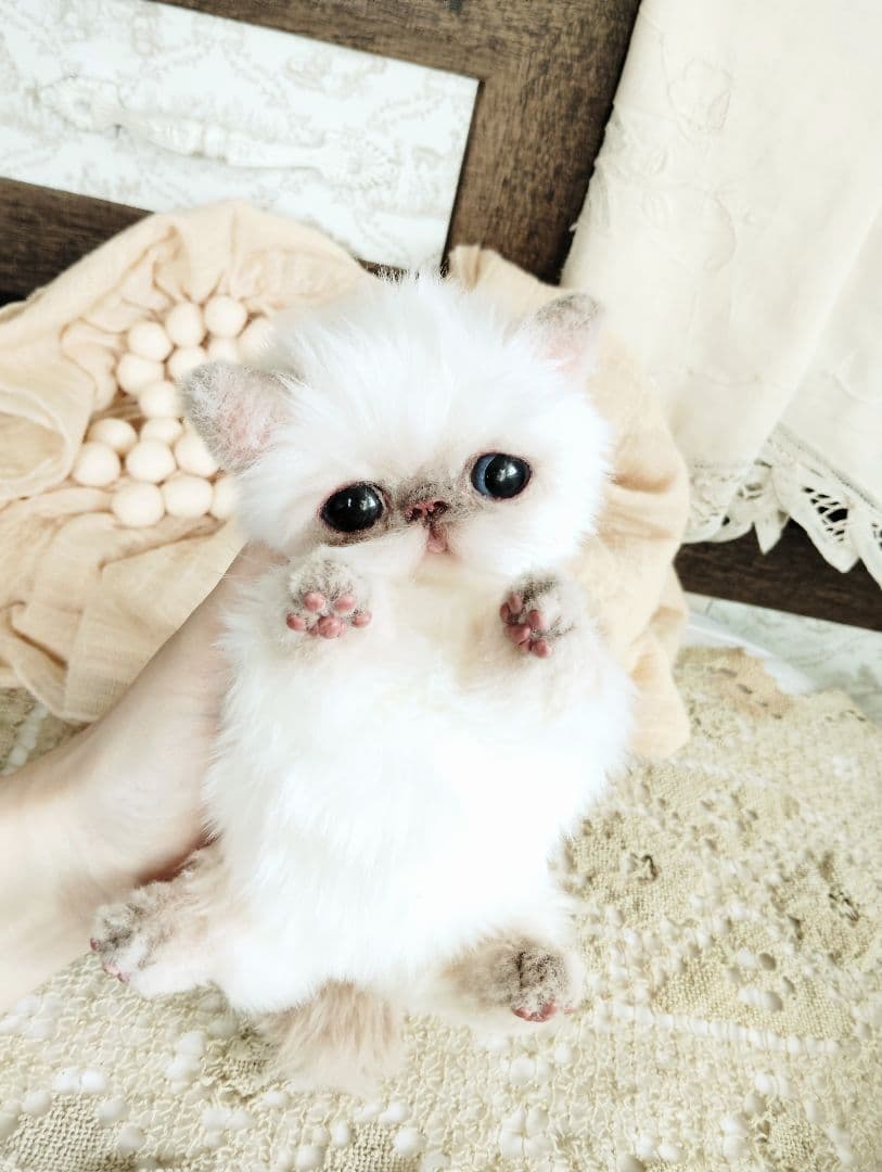 エキゾチック子猫ちゃん♡春生まれのサクラちゃん♡アートドール♡ぬいぐるみ♡