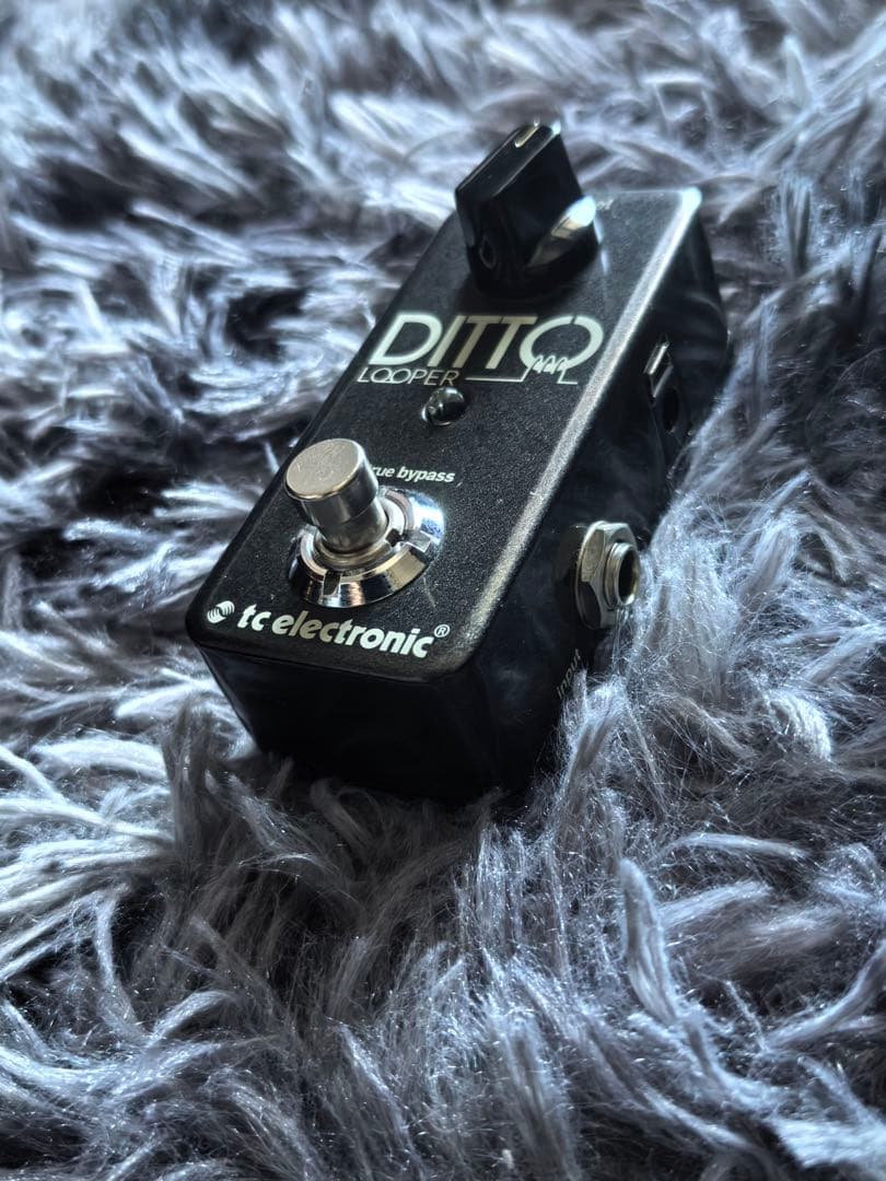 ギター TC ELECTRONIC Ditto Looper