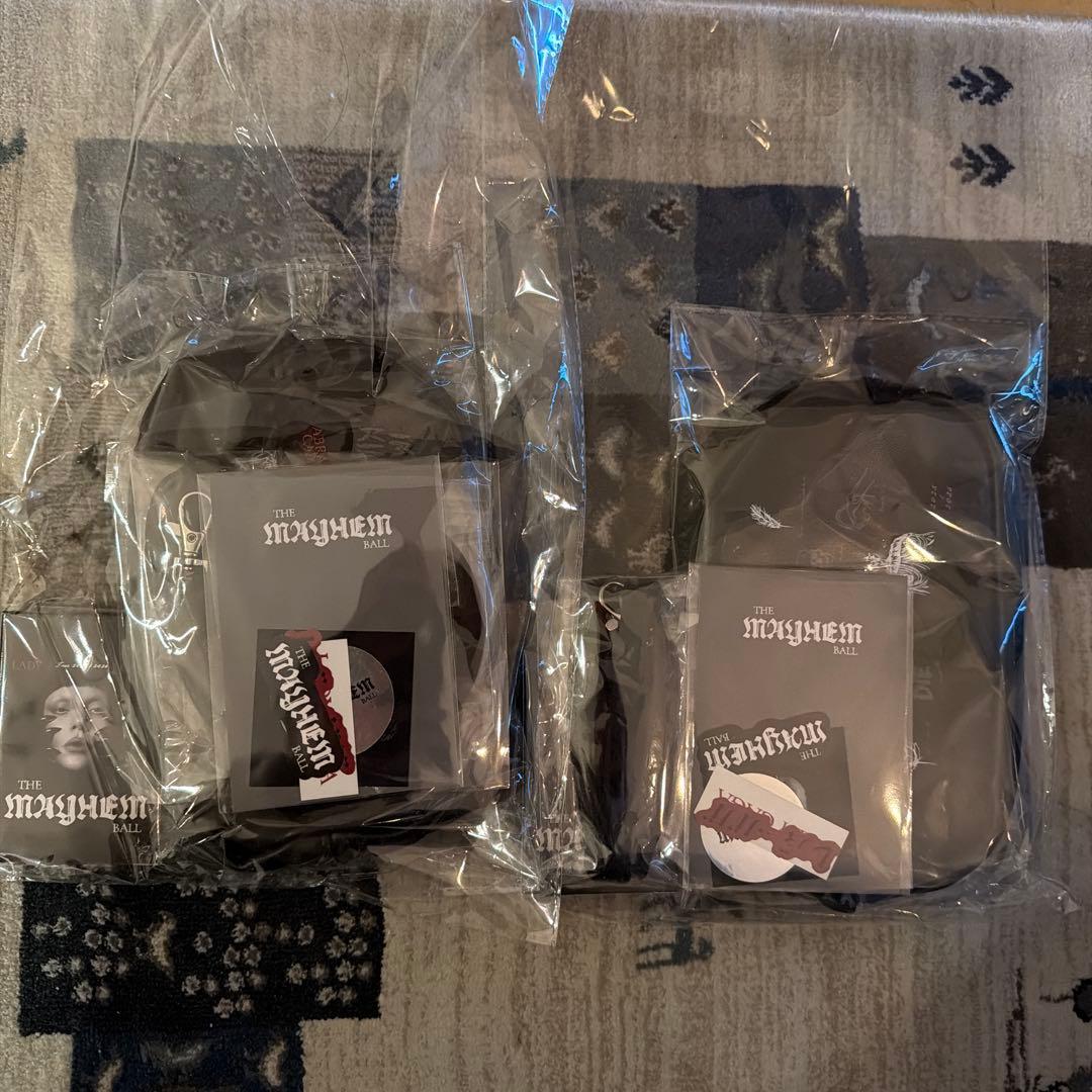 Lady Gaga 2026 VIP SILVER 限定グッズ【 新品・未開封】