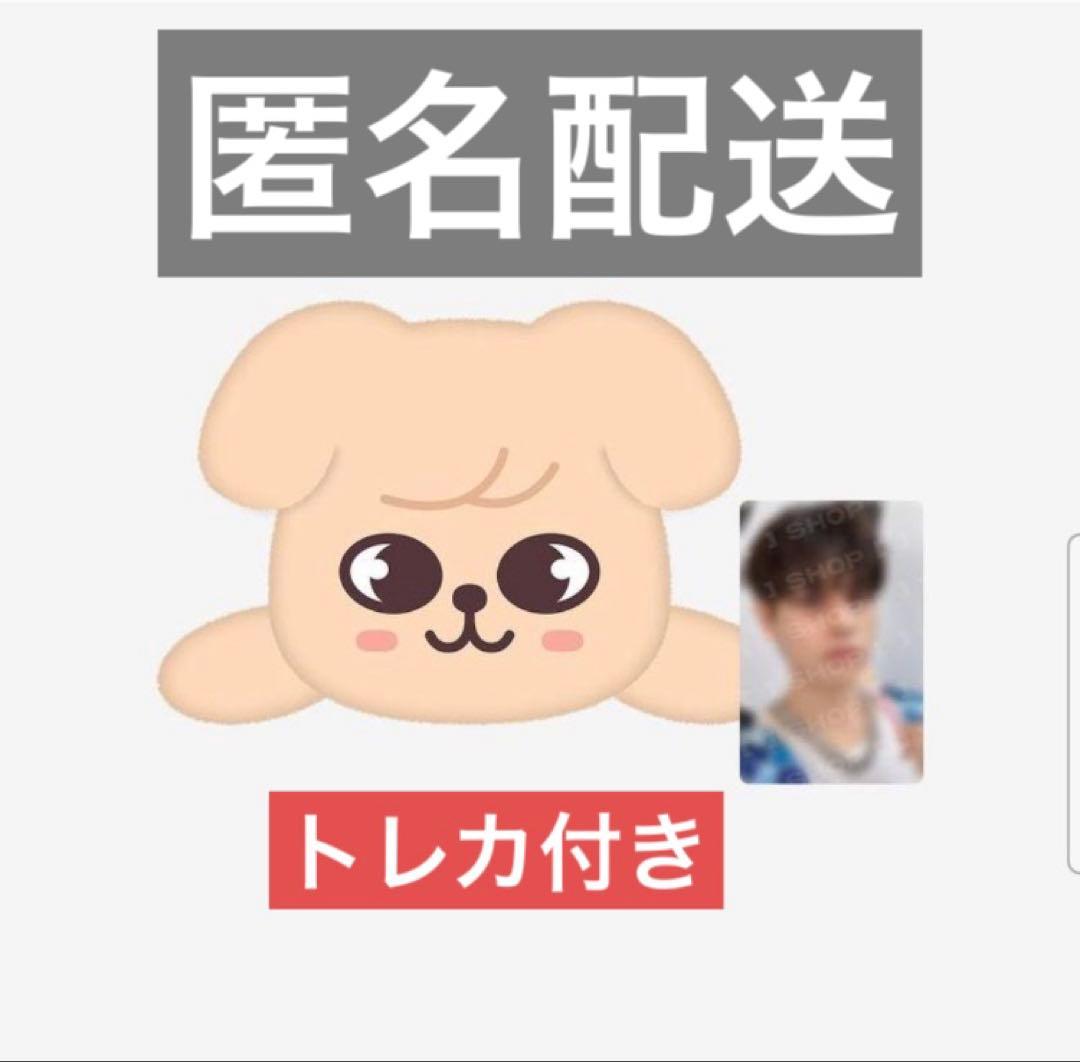 Straykidsスキズ　 celebrATE パピーム　スンミン　メンプロ