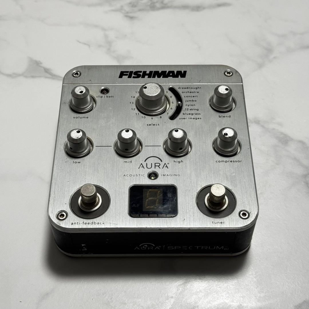 ギター FISHMAN AURA